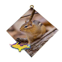 Wildlife Photography Chipmunk Hanging Art Tile Cute and affordable Michigan Made Gifts 