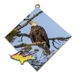 Michigan Wall Art Wildlife Photography Eagle Hanging Art Tile