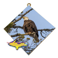 Michigan Wall Art Wildlife Photography Eagle Hanging Art Tile