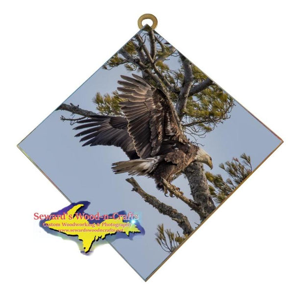 Michigan Wall Art Wildlife Photography Eagle Landing Hanging Art Tile