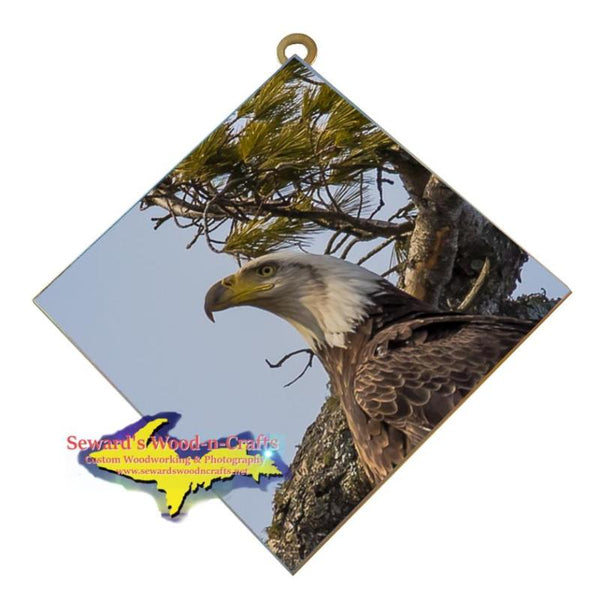 Michigan Made Wall Art Wildlife Photography Bald Eagle Hanging Art Tile