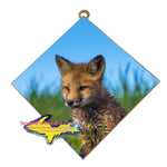 Michigan Wall Art Wildlife Photography Fox Hanging Art Tile