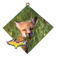 Wildlife Photography fox Hanging Art 