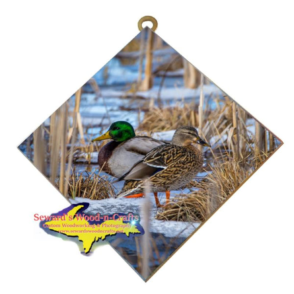 Wildlife Photography Mallard Duck Hanging Art & Gifts