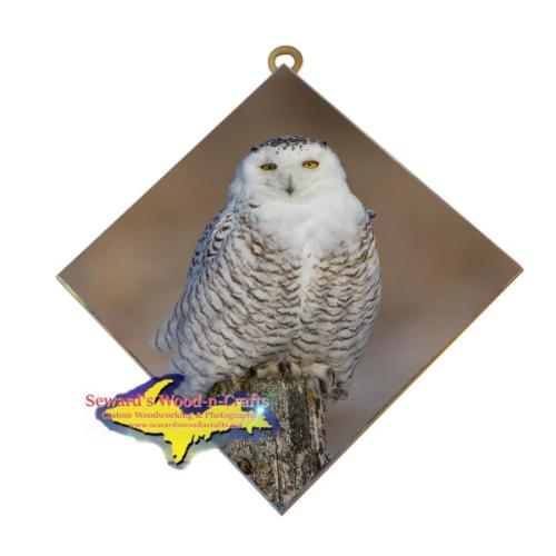 Snowy Owl Wildlife Wall Art Hanging Tiles Wildlife Gifts & Collectibles Home decor