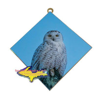 Snowy Owl Wildlife Wall Art Hanging Photo Tiles Home Decor & Design