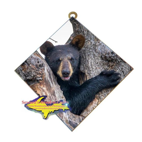 Wildlife Photography Bear Cub Hanging Art Tile Unique and affordable Michigan Made gifts