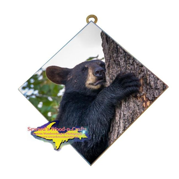  Wildlife Photography Bear Cub Hanging Art Tile Affordable Michigan Made gifts
