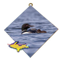 Michigan Wall Art Wildlife Photography Loon and Her Baby Hanging Art