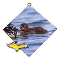 Michigan Wall Art Wildlife Photography Baby Loon Hanging Art