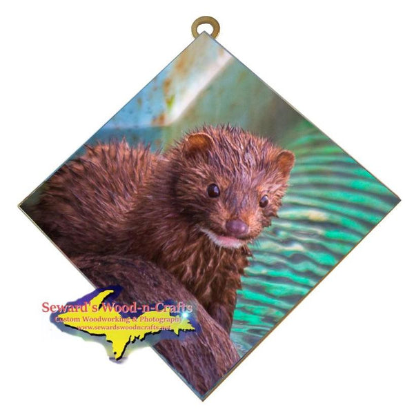 Michigan Wall Art Wildlife Photography Mink Hanging Art Tile