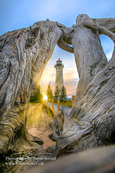 Michigan Landscape Photography Looking through driftwood at Crisp Point Lighthouse with a Lake Superior Sunset
