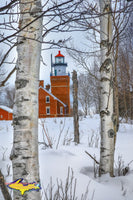 Michigan Landscape Photography Big Bay Point Lighthouse Winter Birch Trees Photo