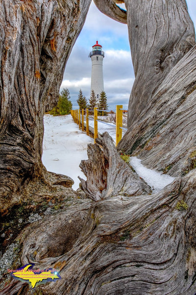 Michigan Landscape Photography Crisp Point Lighthouse Driftwood Winter Photo