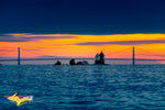 Michigan Landscape Photography Round Island Lighthouse Sunset in the Straits of Mackinac