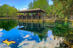 Manistique Kitch-iti-kipi Springs Palms Book State Park Michigan's Upper Peninsula