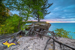 Michigan Photography Pictured Rocks Chapel Rock Roots -6121