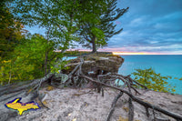 Michigan Photography Pictured Rocks Chapel Rock Roots -6121