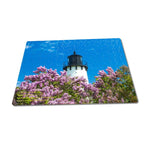 Michigan Puzzles 252 Piece Point Iroquois Lighthouse Lilacs Michigan's Upper Peninsula Photography