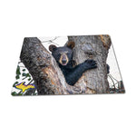 Michigan Wildlife Puzzle 252 Piece Bear Cub Jigsaw Puzzle Family Fun