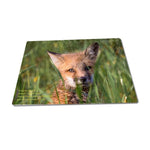 Michigan Made Jigsaw Puzzles Red Fox Michigan Wildlife Puzzles