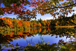 Roxbury Pond Autumn Colors Brimley Michigan Photos
