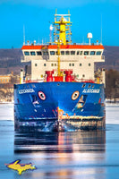 Great Lake Freighters Photography Algocanada Freighter Photos For Sale Home Office Decor