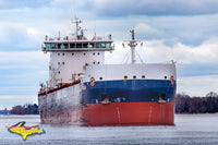 Great Lake Freighters Algoma Strongfield Photo