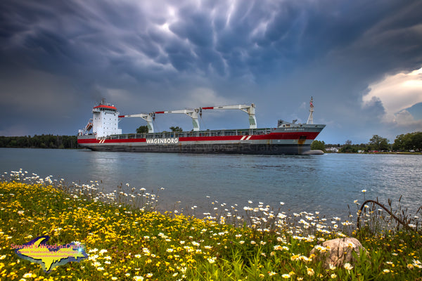Great Lakes Freighters Approaching storm as the Americaborg heads up to Mission Point