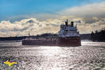 Assiniboine CSL Lake Freighter Photo Stock Images For Sale