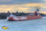 Great Lakes Freighter Photography  Great Lakes Trader/Joyce L Van Enkevort heading up the St.May's River