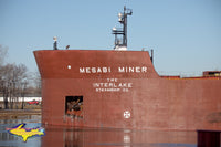 Great Lakes Freighters Photography Mesabi Miner at Rotary Park Sault Ste. Marie, Michigan. Photos
