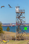 Great Lake Freighters Roger Blough Mission Point-5363.jpg
