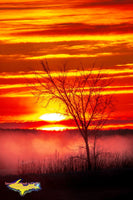 Michigan Landscape Photography Sunrise Over Sugar Island Michigan