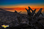 Michigan Landscape Photography Lake Superior Driftwood Sunset Afterglow Grand Marais, Michigan