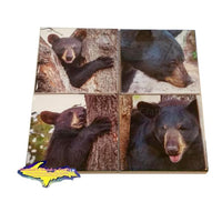 Michigan Coasters Black Bears On Michigan Coasters Best unique gifts or collectibles for family or friends