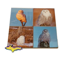 Michigan Wildlife Coaster Sets Snowy Owl Best Drink Coaster For Sale 