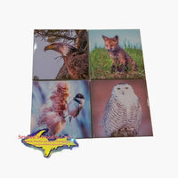 Best Michigan Wildlife Coaster Set Mixed Wildlife Images On Drink Coasters