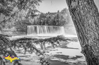 Upper Tahquamenon Falls Black & White -0820