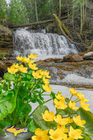 Michigan Landscape Photography Wagner Falls & Marsh  Munising Pictured Rocks Photos