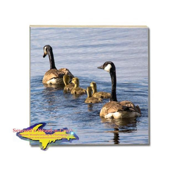 Michigan Made Wildlife Coaster Geese and Goslings Best Nature Gifts