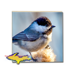 Michigan Made Wildlife Drink Coaster Chickadee Yooper Gifts