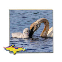Michigan Made Wildlife Coaster Swan & Cygnet Wildlife Gifts & Collectibles