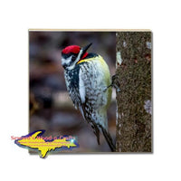 Michigan Made Coaster Wildlife Yellow Bellied Sapsucker