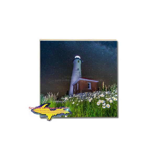 Field of daisies milky way skies at Crisp Point Lighthouse Michigan coaster